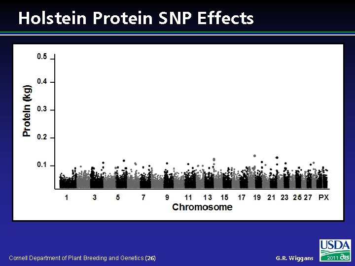 Holstein Protein SNP Effects Cornell Department of Plant Breeding and Genetics (26) G. R.