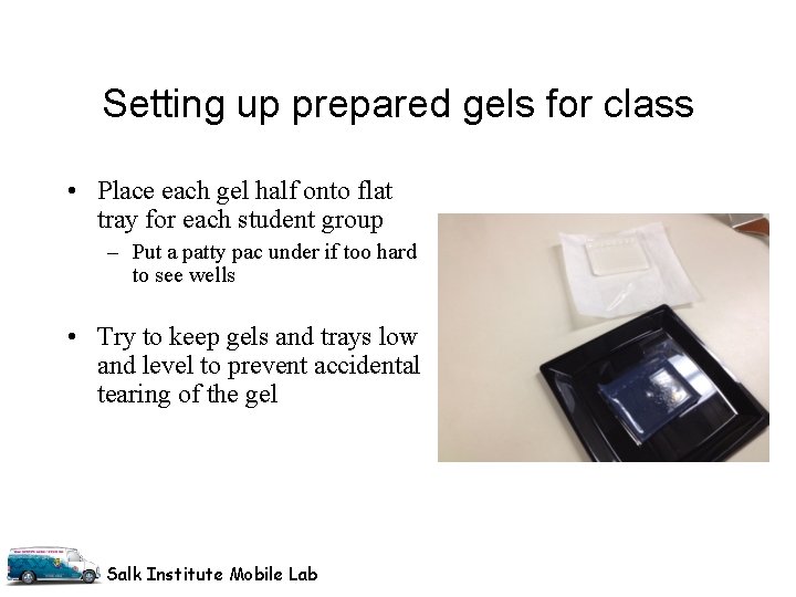 Setting up prepared gels for class • Place each gel half onto flat tray