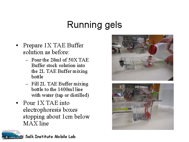 Running gels • Prepare 1 X TAE Buffer solution as before: – Pour the
