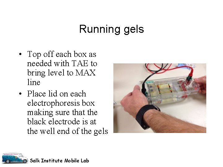 Running gels • Top off each box as needed with TAE to bring level