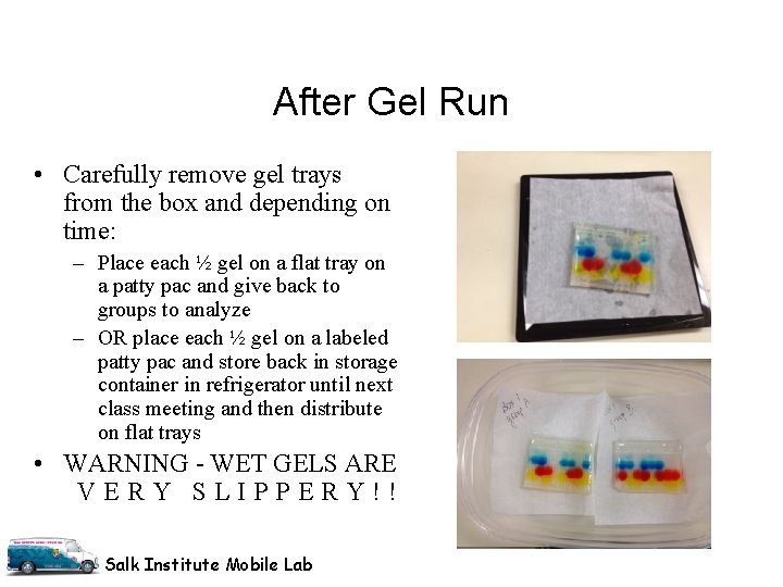 After Gel Run • Carefully remove gel trays from the box and depending on