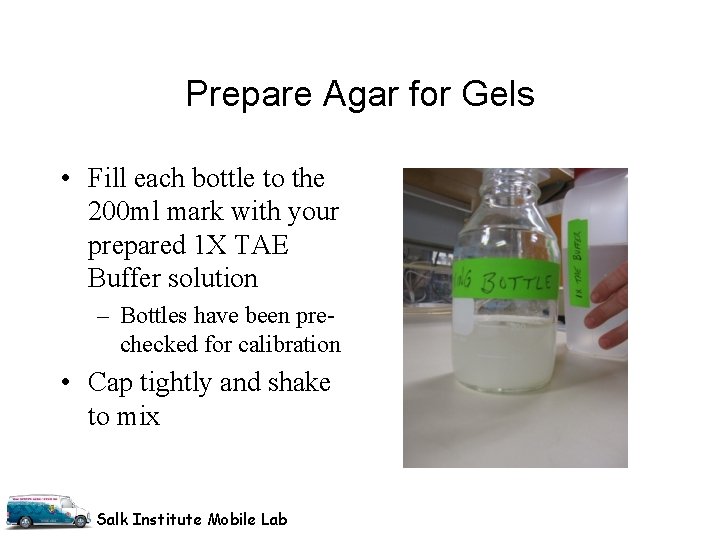 Prepare Agar for Gels • Fill each bottle to the 200 ml mark with