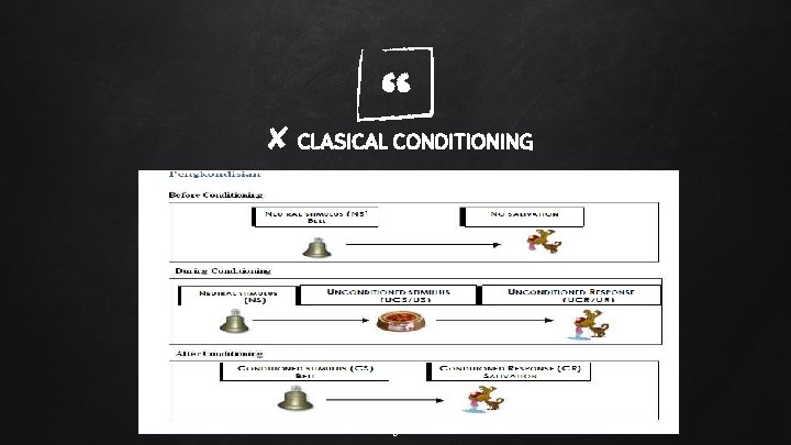 “ ✘ CLASICAL CONDITIONING 5 