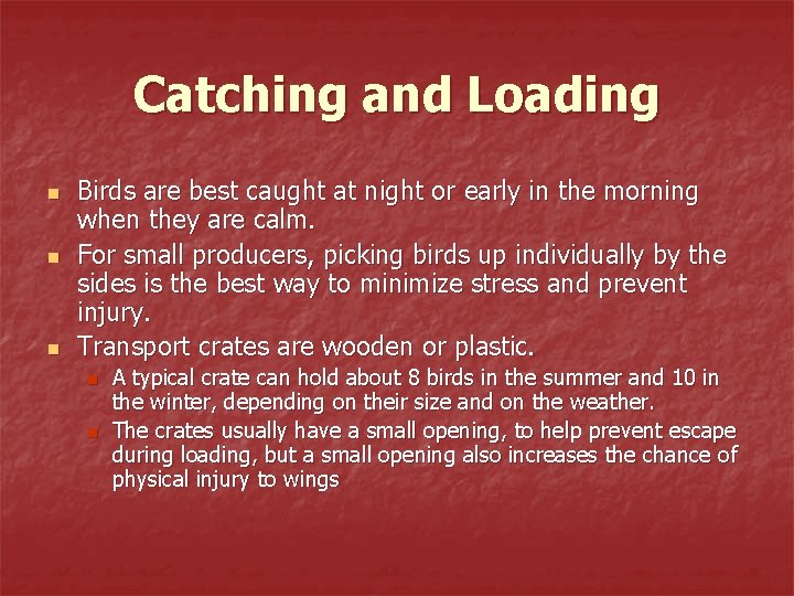 Catching and Loading n n n Birds are best caught at night or early