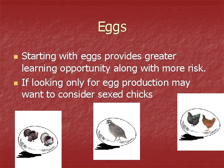 Eggs n n Starting with eggs provides greater learning opportunity along with more risk.