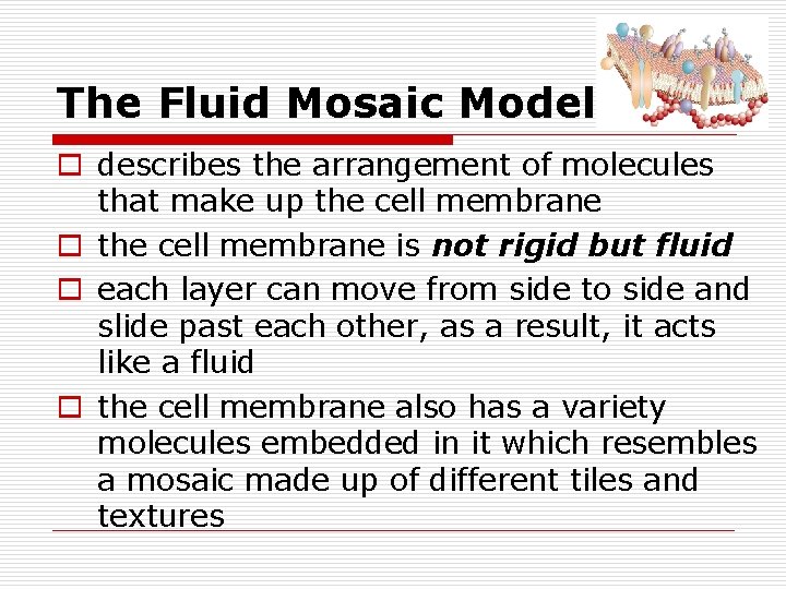 The Fluid Mosaic Model: o describes the arrangement of molecules that make up the