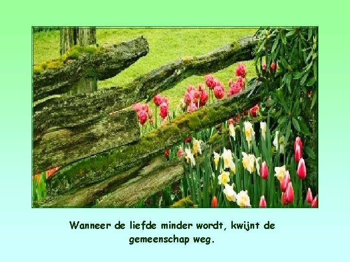 Wanneer de liefde minder wordt, kwijnt de gemeenschap weg. 