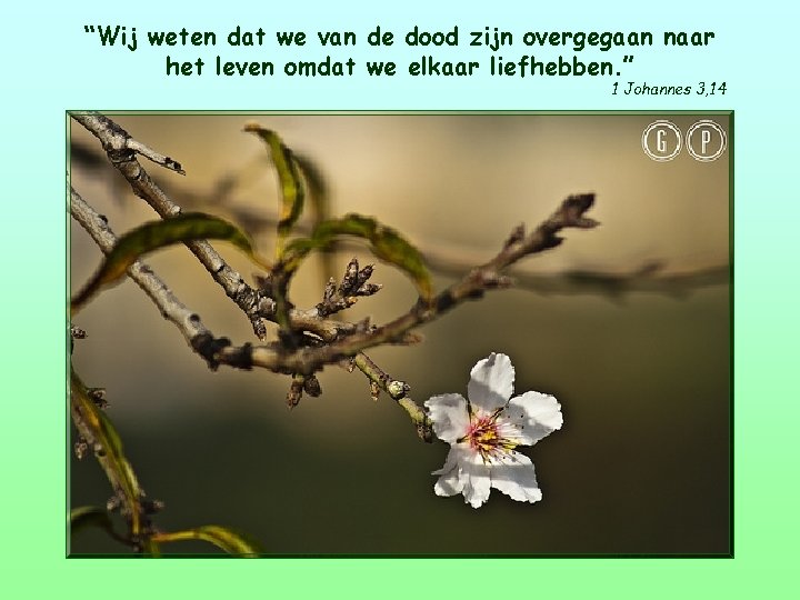 “Wij weten dat we van de dood zijn overgegaan naar het leven omdat we