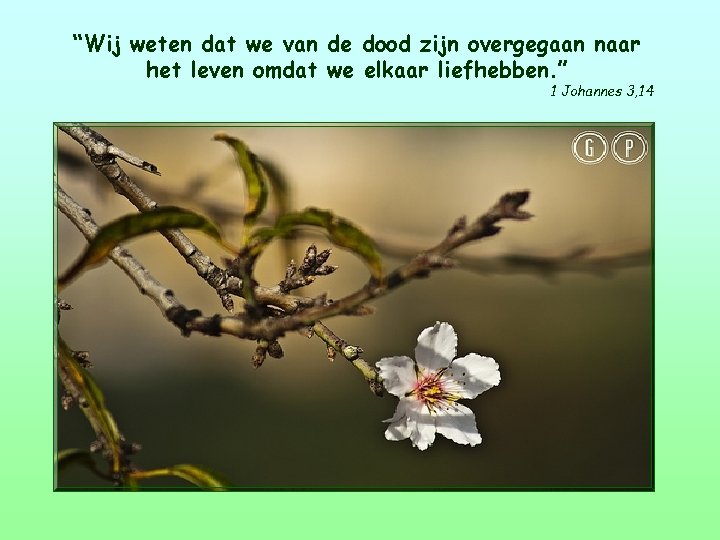 “Wij weten dat we van de dood zijn overgegaan naar het leven omdat we