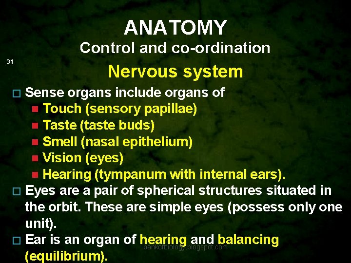 ANATOMY Control and co-ordination 31 Nervous system Sense organs include organs of Touch (sensory