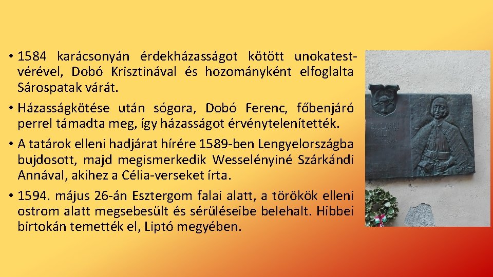  • 1584 karácsonyán érdekházasságot kötött unokatestvérével, Dobó Krisztinával és hozományként elfoglalta Sárospatak várát.