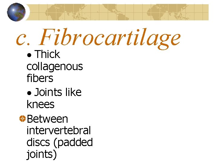 c. Fibrocartilage · Thick collagenous fibers · Joints like knees Between intervertebral discs (padded