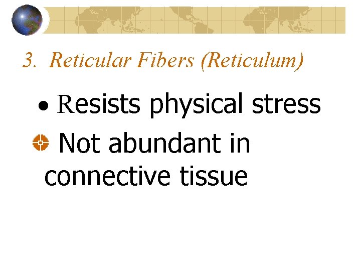 3. Reticular Fibers (Reticulum) · Resists physical stress Not abundant in connective tissue 