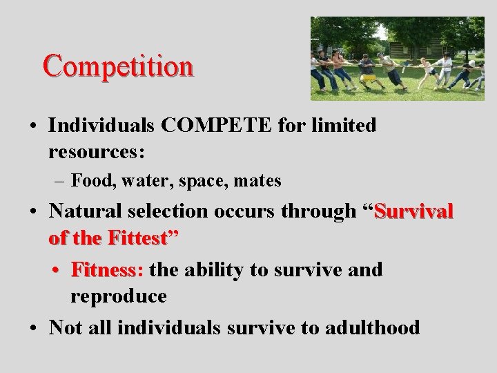 Competition • Individuals COMPETE for limited resources: – Food, water, space, mates • Natural