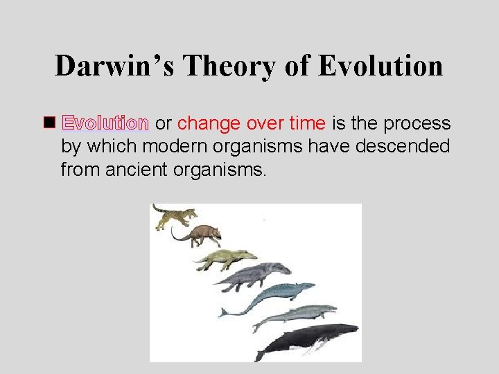 Darwin’s Theory of Evolution n Evolution or change over time is the process by