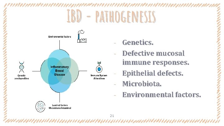 IBD - pathogenesis ‐ ‐ ‐ 21 Genetics. Defective mucosal immune responses. Epithelial defects.