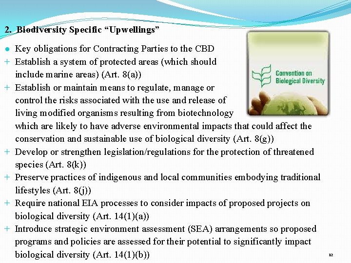 International Law and Marine Biodiversity Conservation Tangled Currents