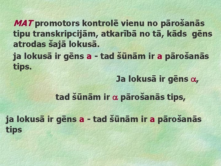 MAT promotors kontrolē vienu no pārošanās tipu transkripcijām, atkarībā no tā, kāds gēns atrodas