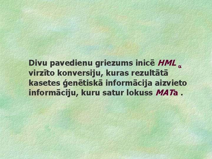 Divu pavedienu griezums inicē HML virzīto konversiju, kuras rezultātā kasetes ģenētiskā informācija aizvieto informāciju,