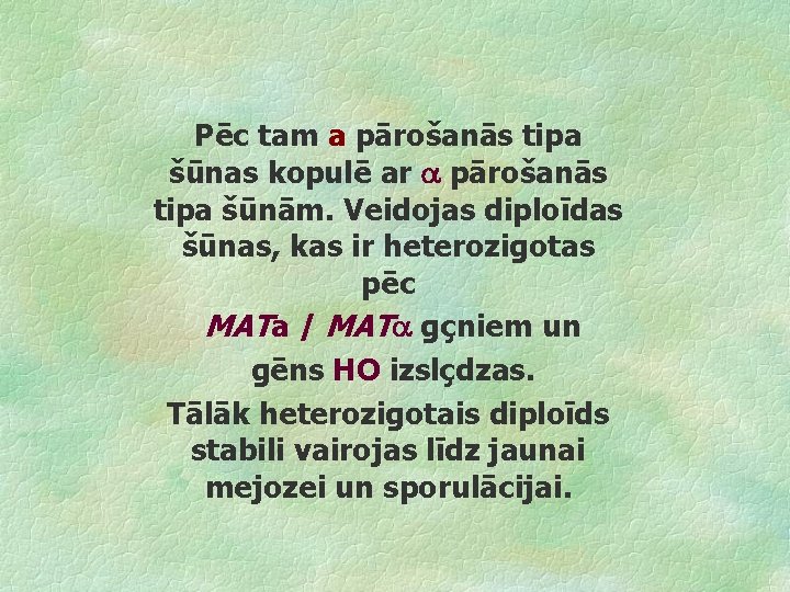 Pēc tam a pārošanās tipa šūnas kopulē ar pārošanās tipa šūnām. Veidojas diploīdas šūnas,