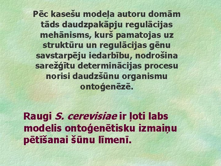 Pēc kasešu modeļa autoru domām tāds daudzpakāpju regulācijas mehānisms, kurš pamatojas uz struktūru un