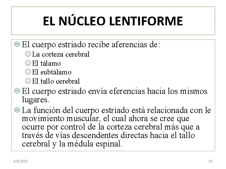 EL NÚCLEO LENTIFORME El cuerpo estriado recibe aferencias de: J La corteza cerebral J