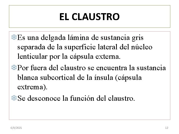 EL CLAUSTRO Es una delgada lámina de sustancia gris separada de la superficie lateral