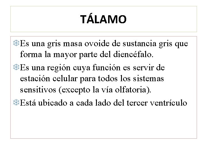 TÁLAMO Es una gris masa ovoide de sustancia gris que forma la mayor parte