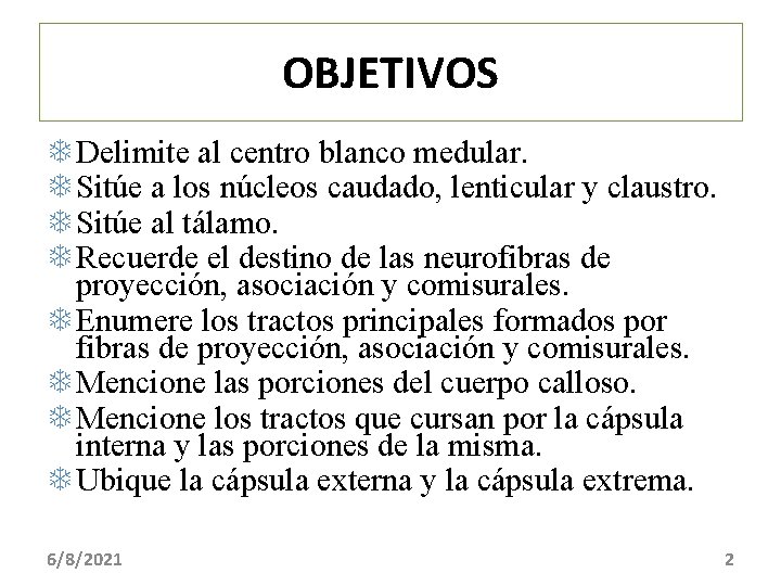 OBJETIVOS Delimite al centro blanco medular. Sitúe a los núcleos caudado, lenticular y claustro.