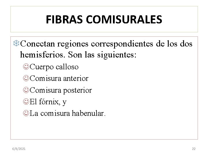 FIBRAS COMISURALES Conectan regiones correspondientes de los dos hemisferios. Son las siguientes: JCuerpo calloso