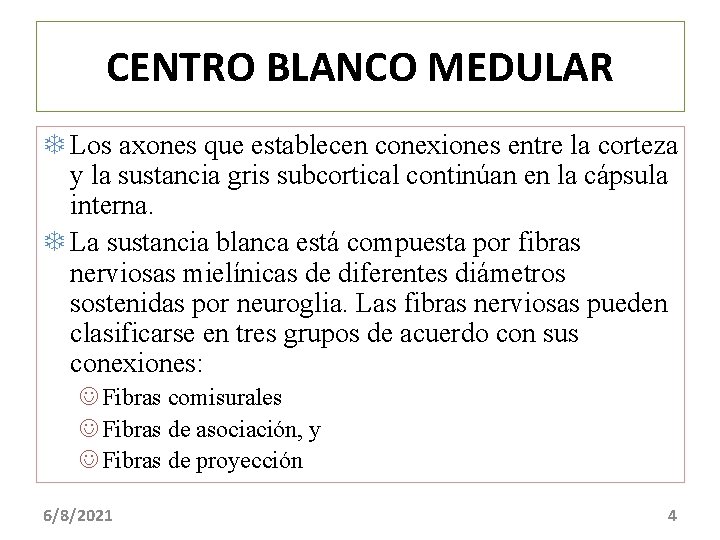 CENTRO BLANCO MEDULAR Los axones que establecen conexiones entre la corteza y la sustancia