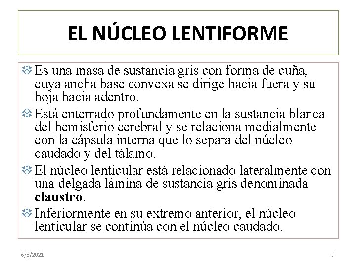 EL NÚCLEO LENTIFORME Es una masa de sustancia gris con forma de cuña, cuya