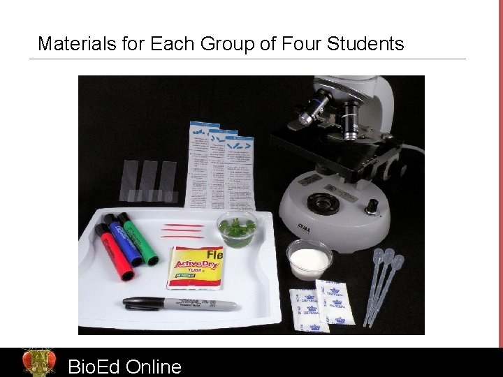 Materials for Each Group of Four Students Bio. Ed Online 