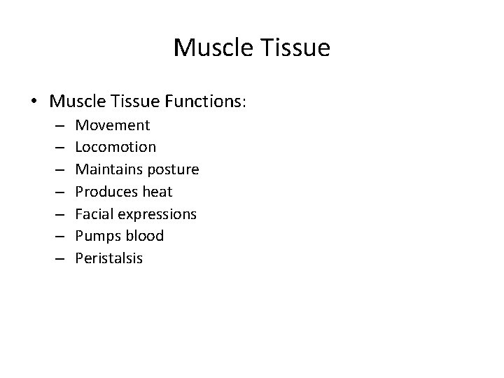 Muscle Tissue • Muscle Tissue Functions: – – – – Movement Locomotion Maintains posture