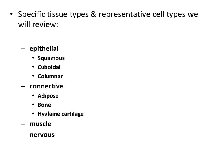  • Specific tissue types & representative cell types we will review: – epithelial