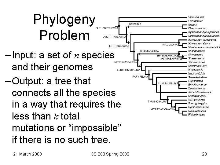 Phylogeny Problem – Input: a set of n species and their genomes – Output: