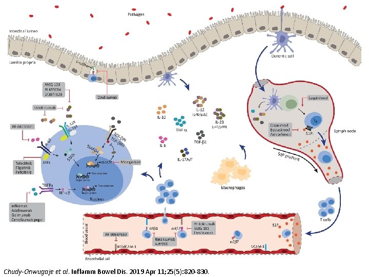 Chudy-Onwugaje et al. Inflamm Bowel Dis. 2019 Apr 11; 25(5): 820 -830. 