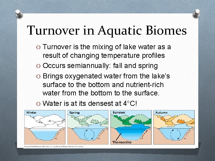 Turnover in Aquatic Biomes O Turnover is the mixing of lake water as a
