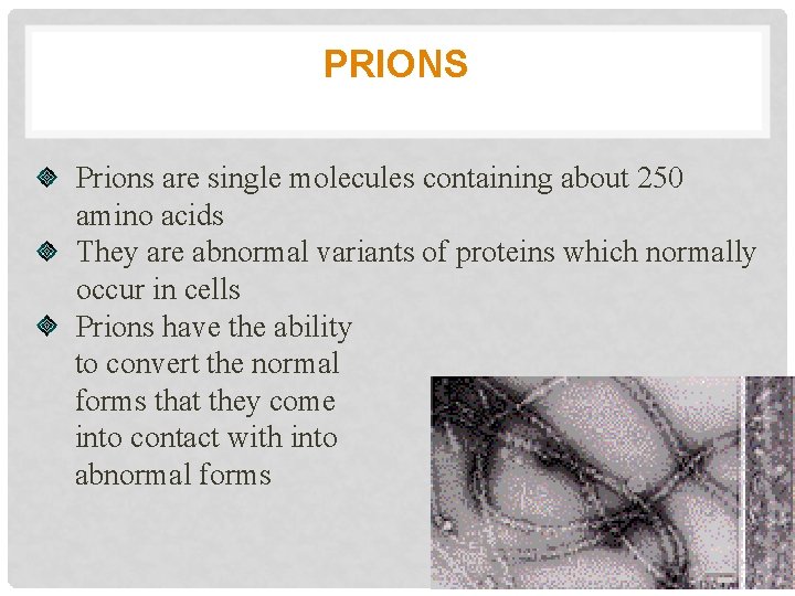 PRIONS Prions are single molecules containing about 250 amino acids They are abnormal variants