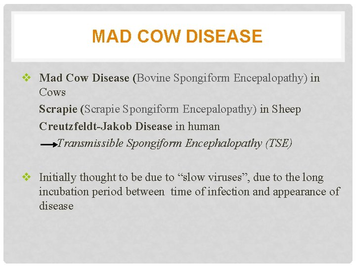 MAD COW DISEASE v Mad Cow Disease (Bovine Spongiform Encepalopathy) in Cows Scrapie (Scrapie