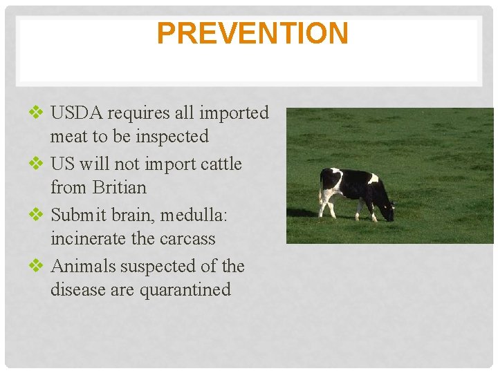 PREVENTION v USDA requires all imported meat to be inspected v US will not