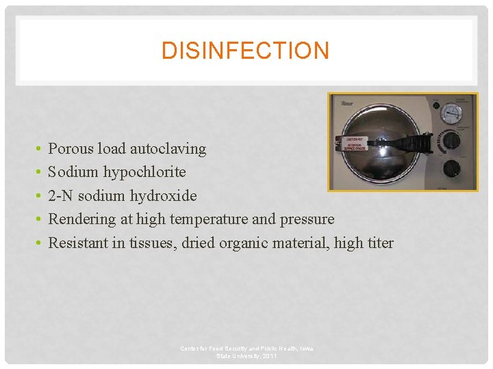 DISINFECTION • • • Porous load autoclaving Sodium hypochlorite 2 -N sodium hydroxide Rendering