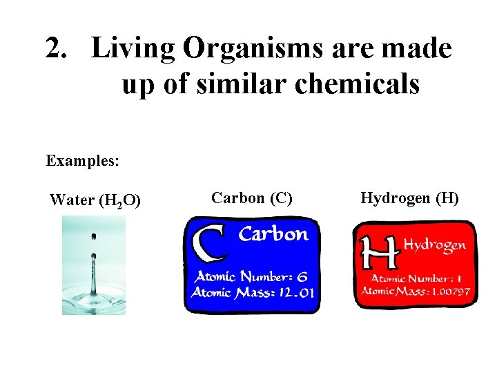 2. Living Organisms are made up of similar chemicals Examples: Water (H 2 O)