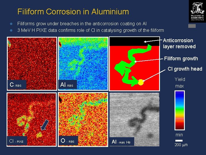 Filiform Corrosion in Aluminium l l Filiforms grow under breaches in the anticorrosion coating