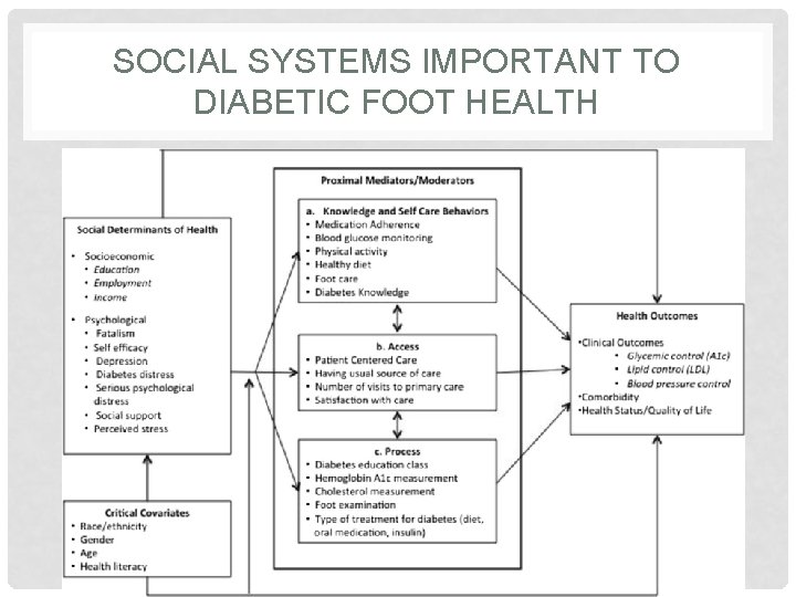 SOCIAL SYSTEMS IMPORTANT TO DIABETIC FOOT HEALTH 