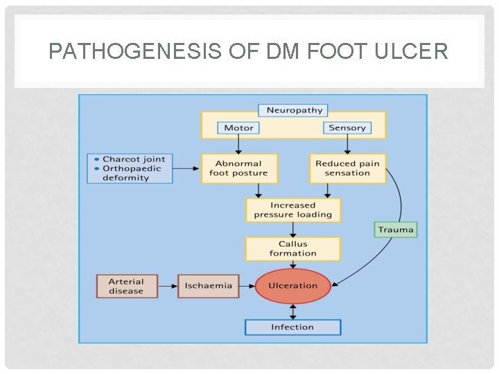 PATHOGENESIS OF DM FOOT ULCER 