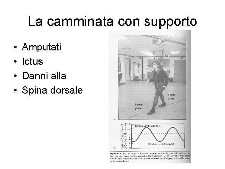 La camminata con supporto • • Amputati Ictus Danni alla Spina dorsale 