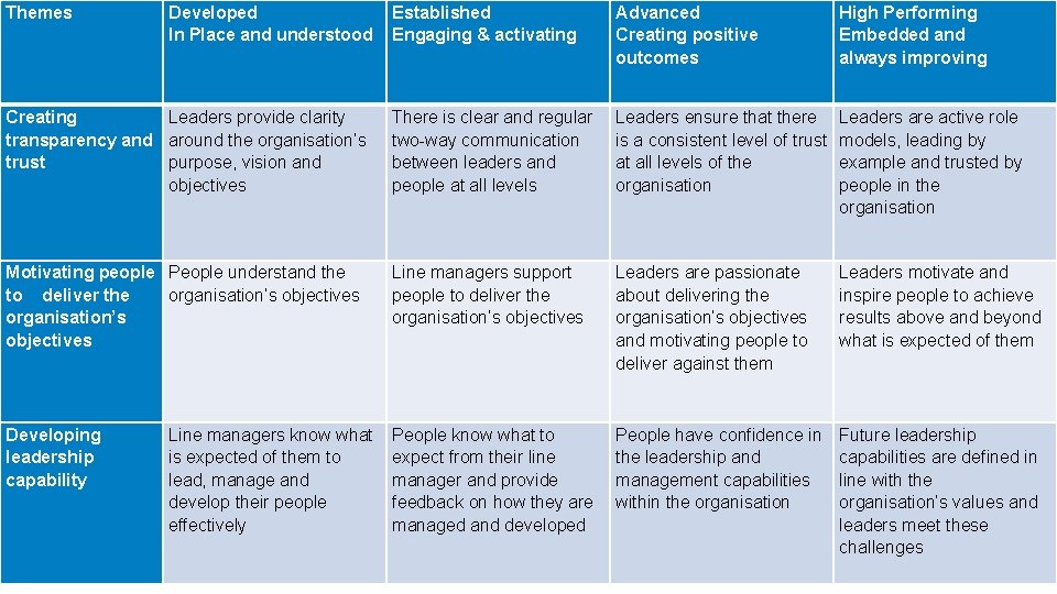 Themes Developed In Place and understood Established Engaging & activating Advanced Creating positive outcomes