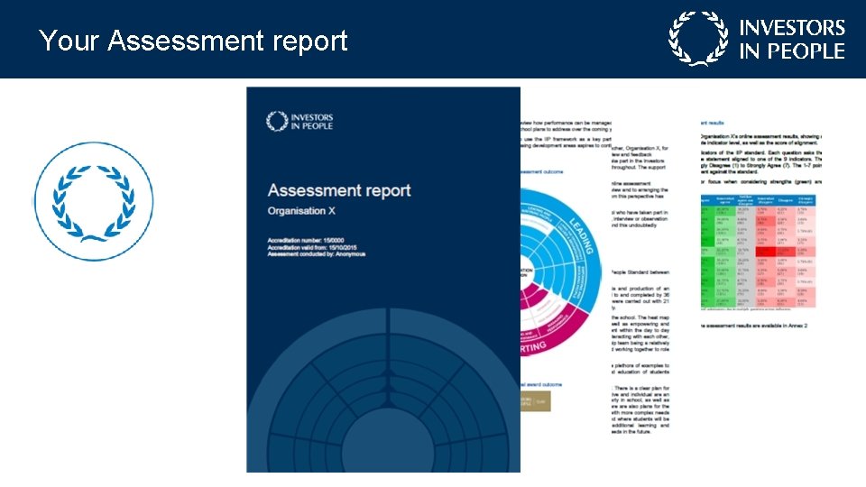 Your Assessment report 