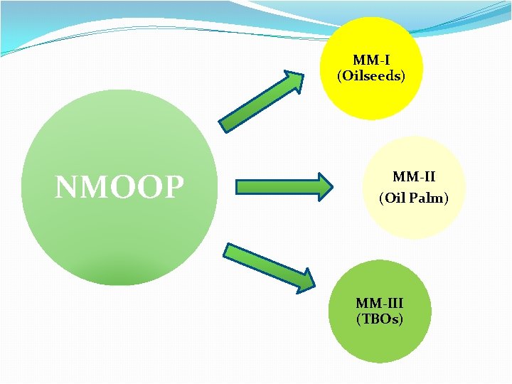 MM-I (Oilseeds) NMOOP MM-II (Oil Palm) MM-III (TBOs) 